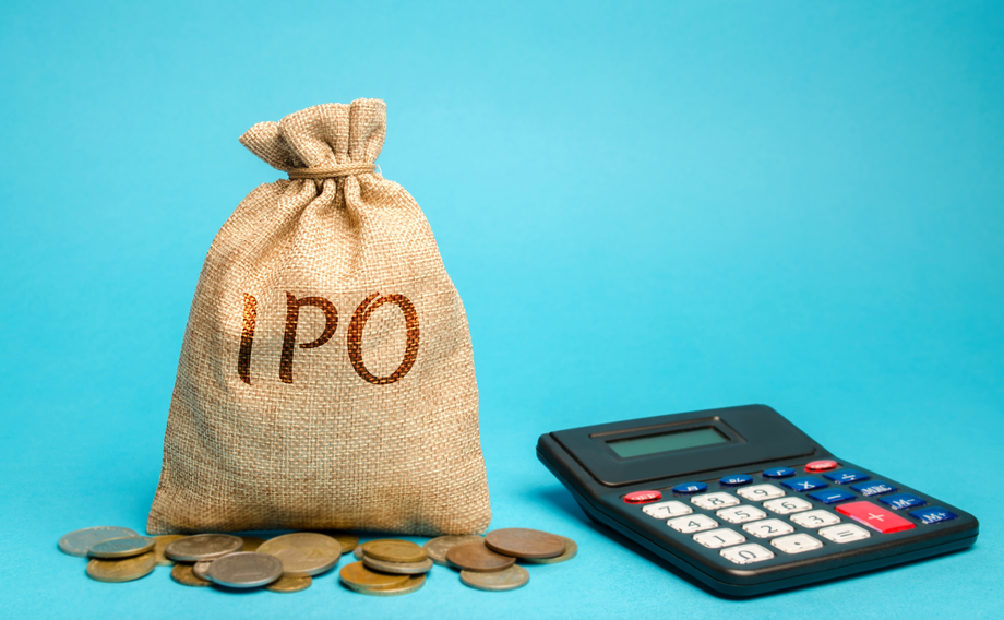 IPO Landscape 2023 Review and 2024 Market Predictions